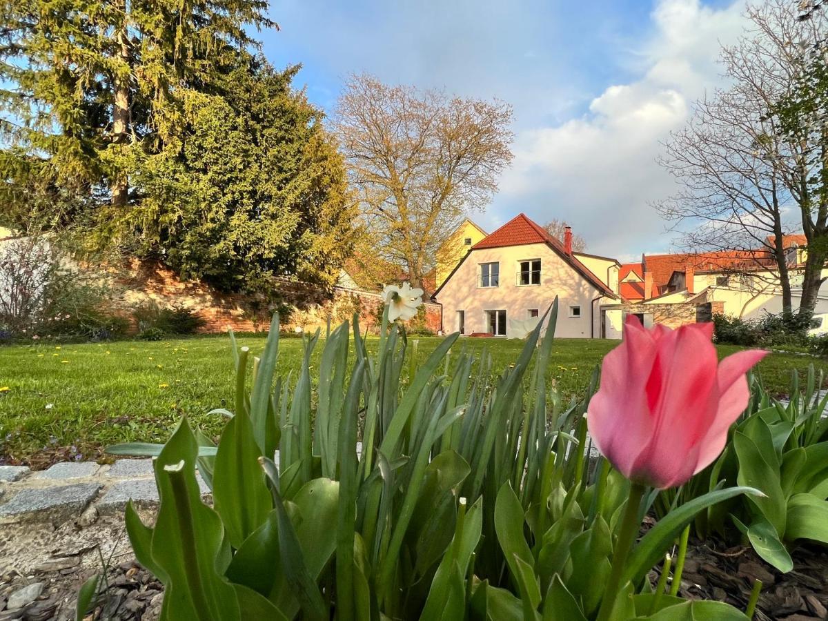 Om Yoga Center Apartment Slovenska Bistrica Exterior photo
