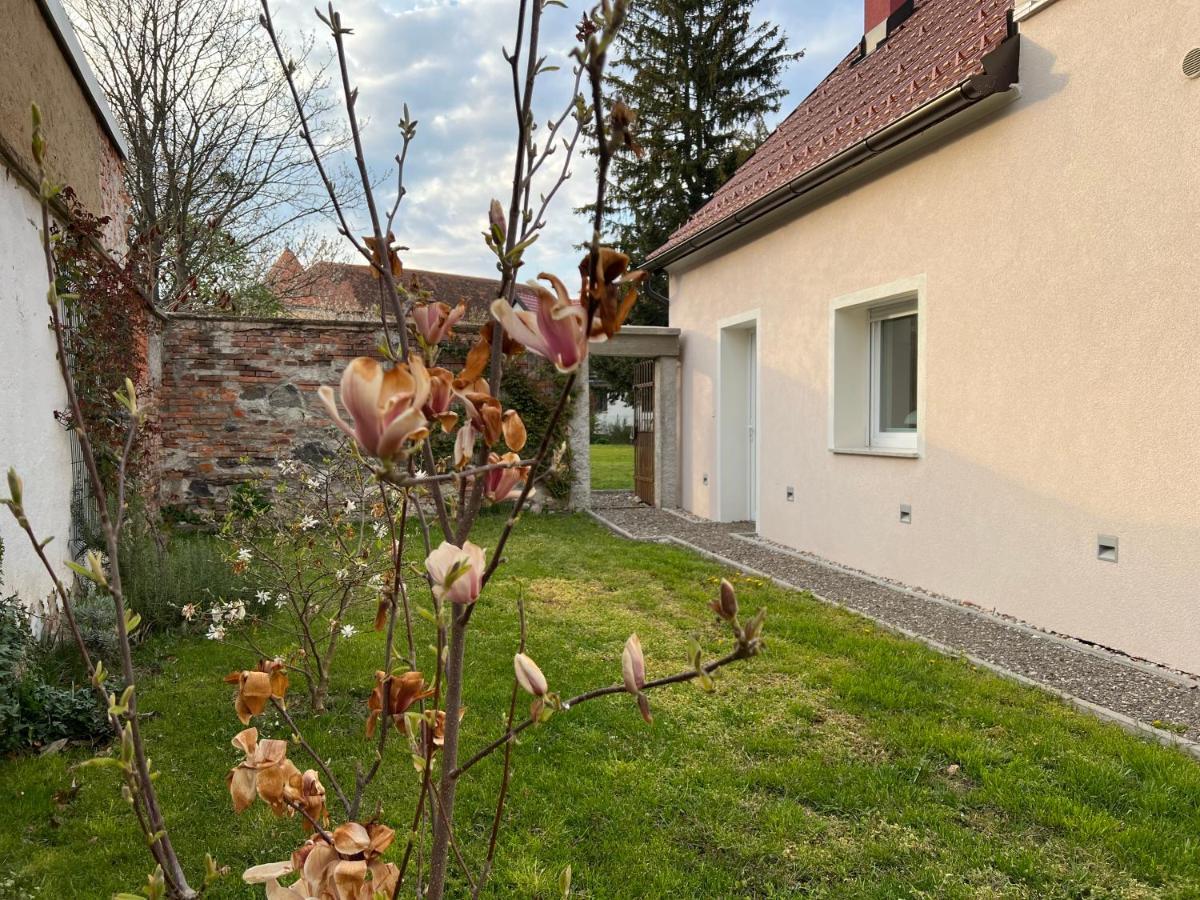 Om Yoga Center Apartment Slovenska Bistrica Exterior photo